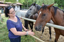 POZNAWAJ REGION Z LGD KRAINA WIELKIEGO ŁUKU WARTY - gmina Wierzchlas - „Ranczo za mostem” w Kamionie